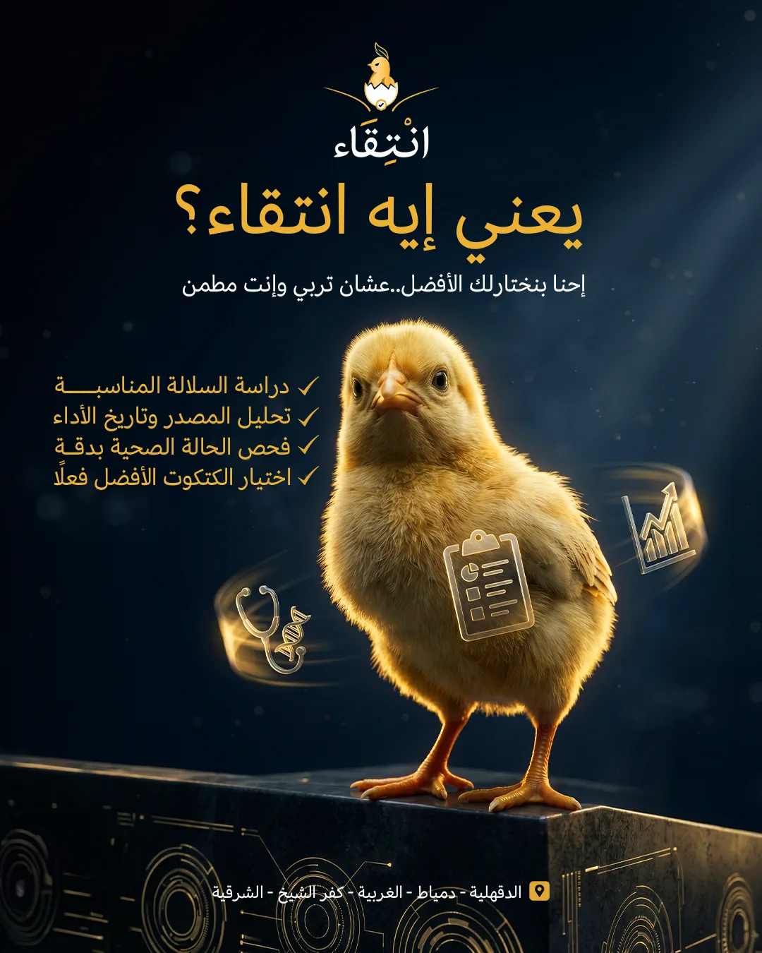 يعني-ايه-انتقاء